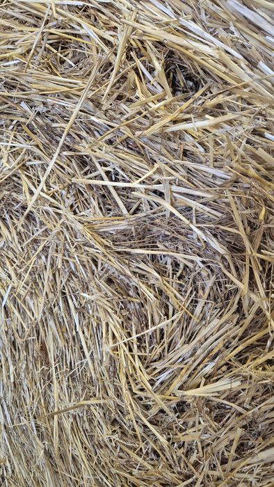 Бали Ролонни  слама  Ечемик и Пшеница