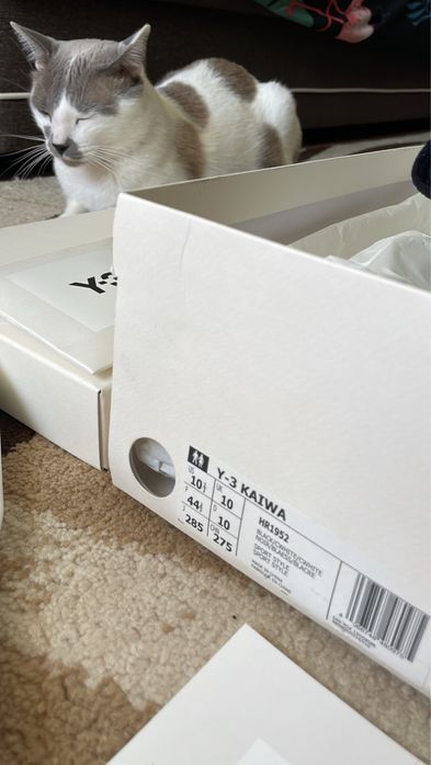 Y-3 kaiwa sneakers full box