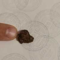 Метеорит сеймчан  с оливином .