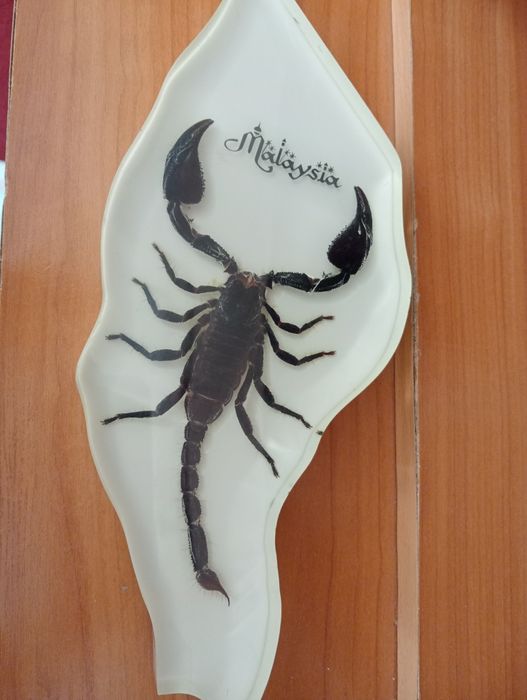 Продается декоративный сувенир