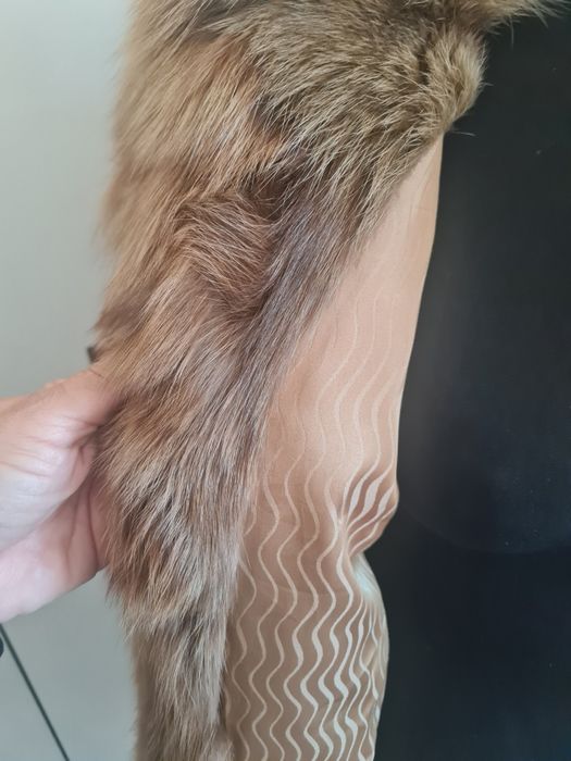 Blana naturala vulpe