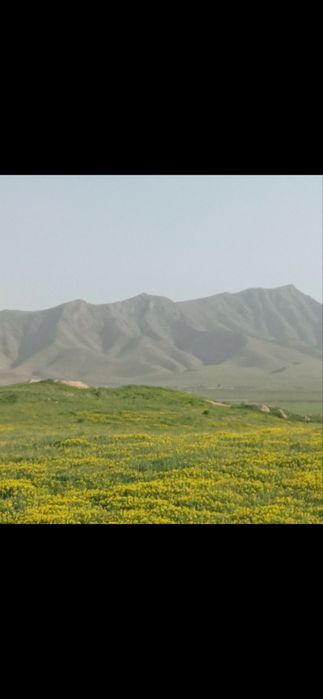 Yel sotiladi 6sotokli srochna