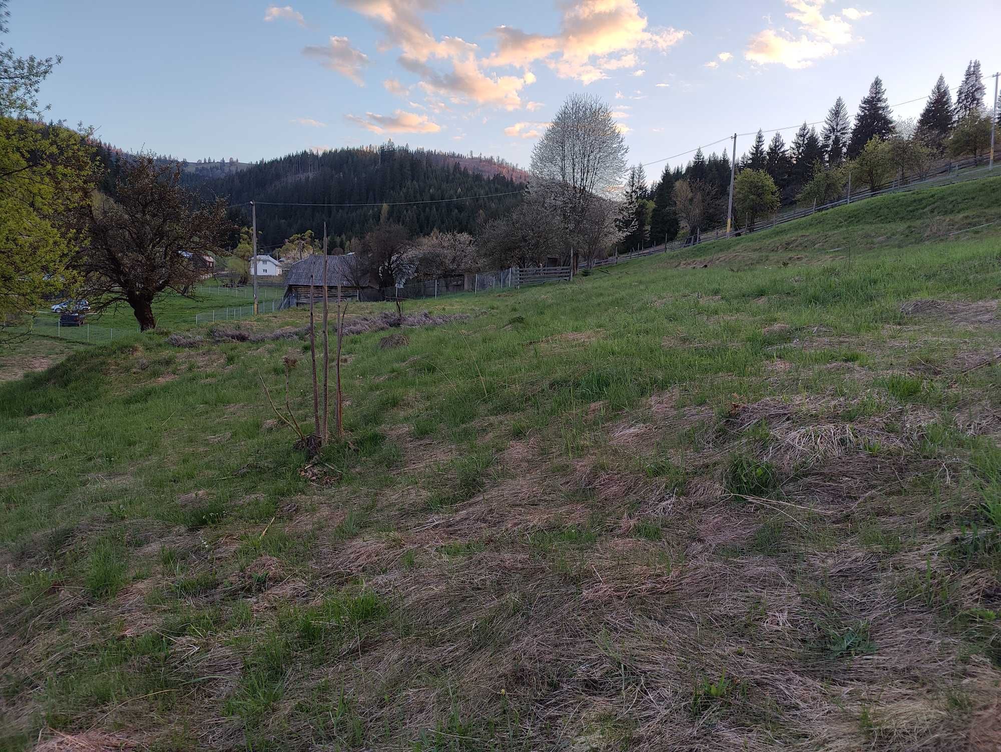 Terenuri intravilan Vatra Dornei