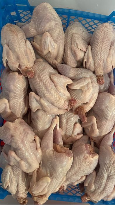 Мясо перепелинное