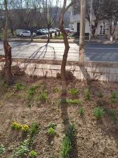 Garsoniera zona Aviatori