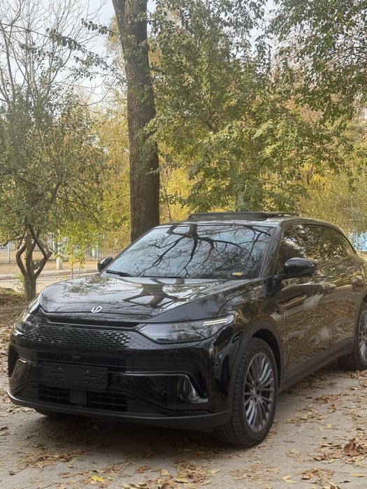 Leapmotor C11 доп опция