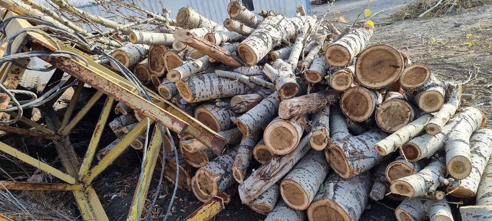 Продам дрова 20 000 доставим по г. Хромтау