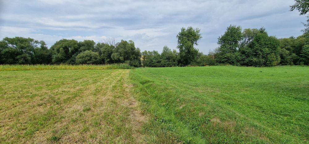 Terenuri intravilane alăturate 30 ari si 26 ari ideal casă sau arabil