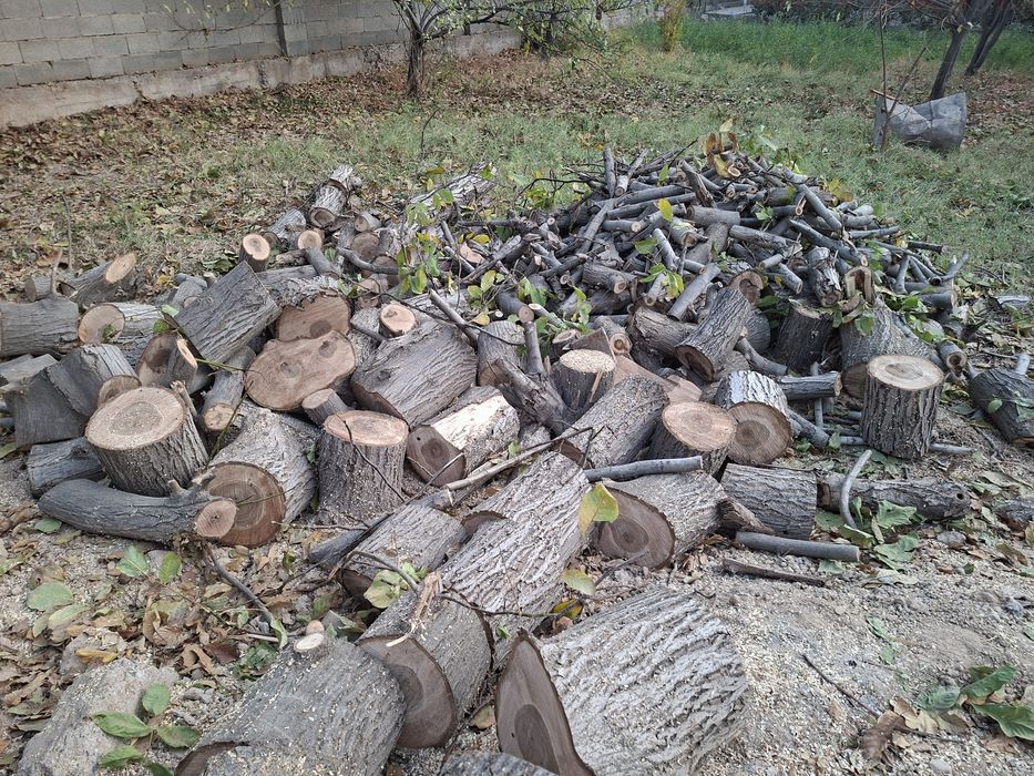 Дрова,  отын,  көмір,