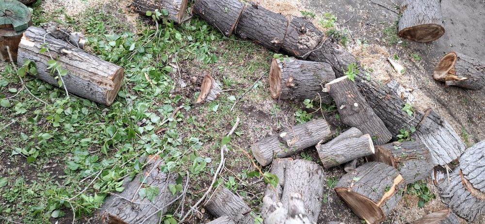 Продам недорого пеньки, чурбаки, поленья. Погрузка , доставка.