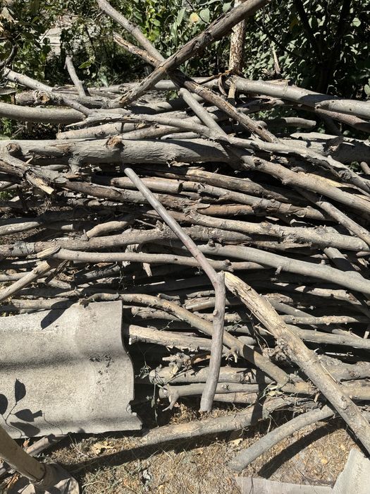 Дрова, доски, виноградник