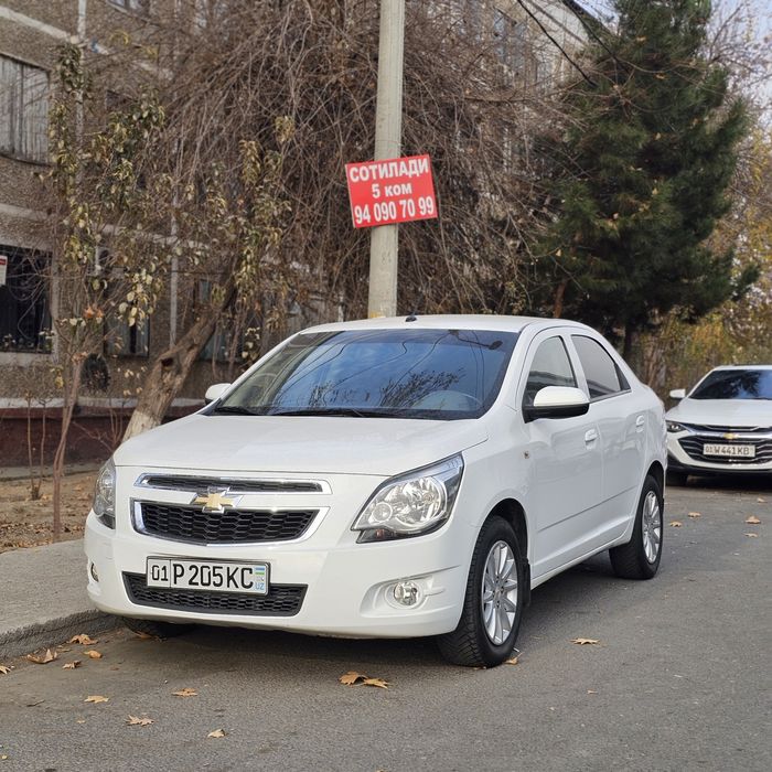 Arenda Vikub Kobilt Aftamat Toza