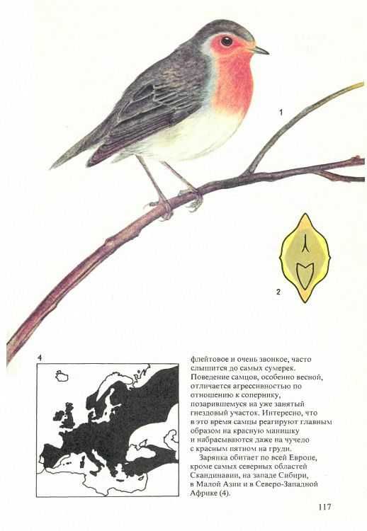 Книга певчие птицы (Фельдман)