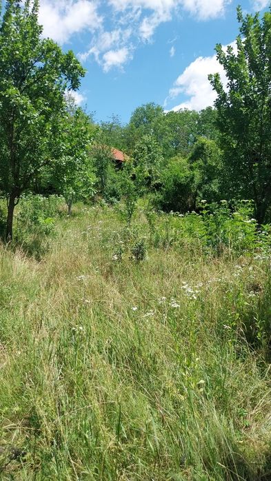 Vanzare teren intravilan