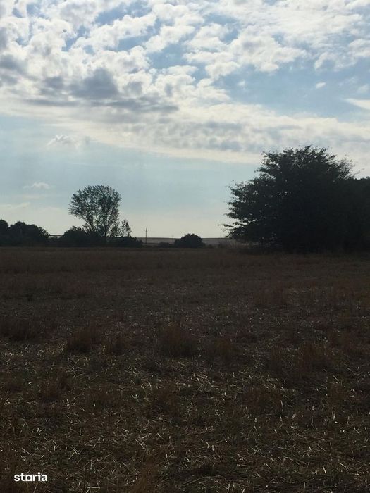 CF 41058 – Teren intravilan + extravil 9,35 ha lângă lac Teslui, Dolj