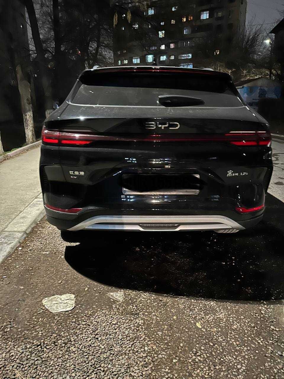 BYD chepion 2025