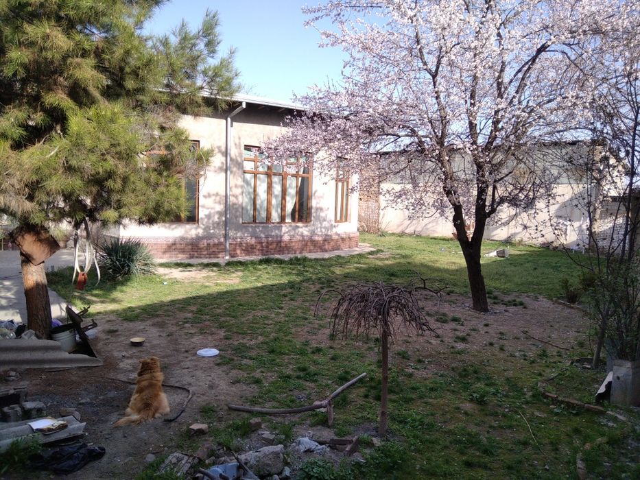 Продается Евро Дом, Мирзо-Улугбекский район, Циолковский,ул Олтинтепа