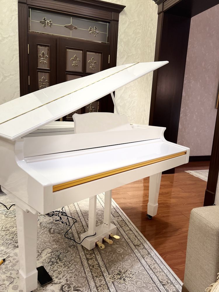 Pianina rayal tashkent