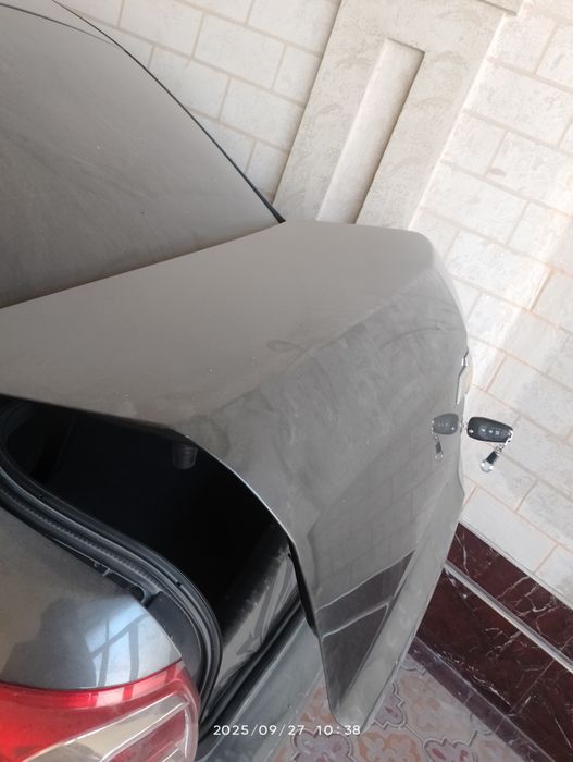 Radnoy Kobilt 100% idyal detal