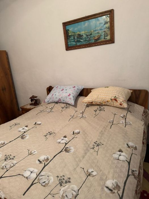 Vand casa Remetea Pogonici jud Caras Severin