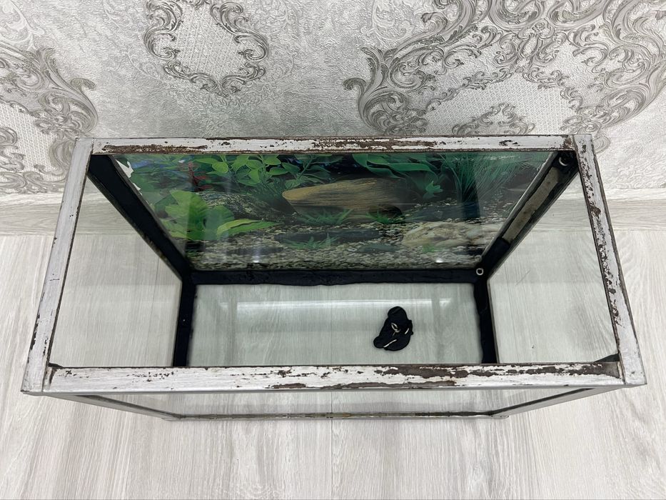 Аквариум, Фильтр и Обогреватель сотилади