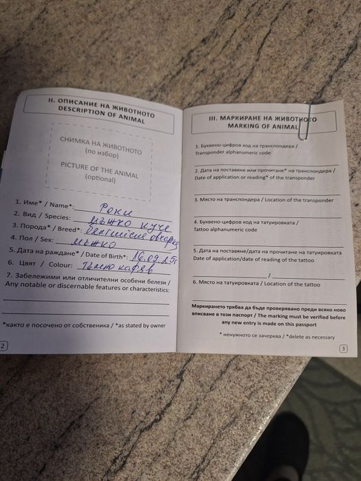 Белгийска Малиноа