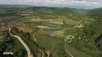 Casă masivă cu 8 ha de teren în Dumbrăvița de Codru, Bihor, de vânzare