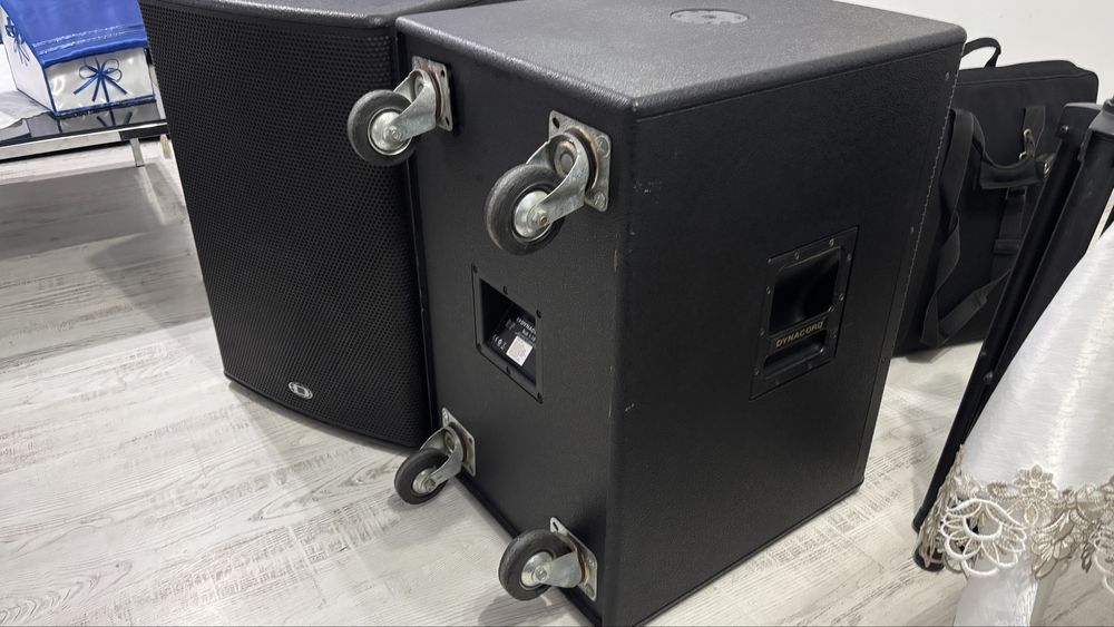 2 Bași Pasivi Dynacord Sub 1.18