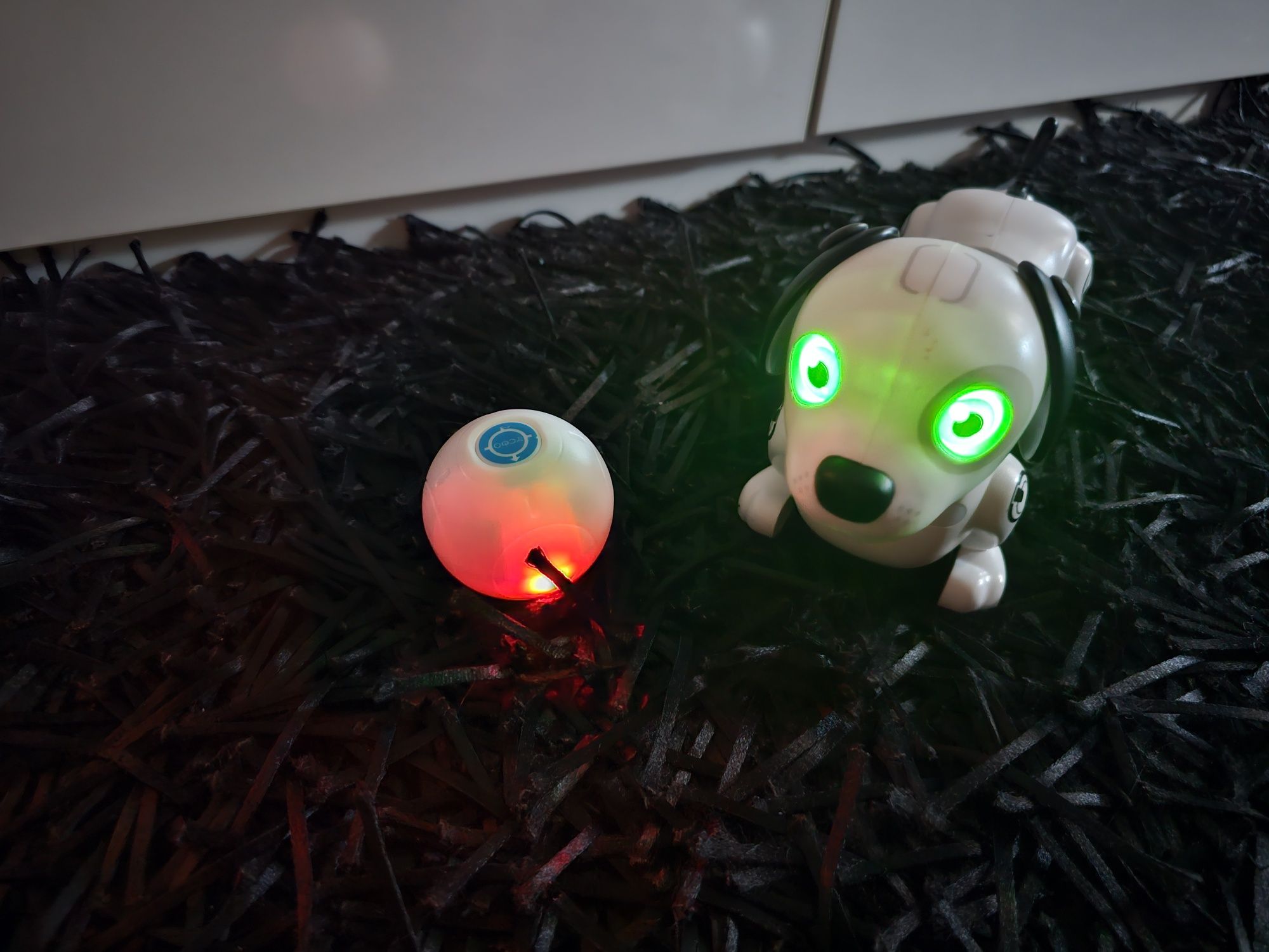 Catel robotel interactiv