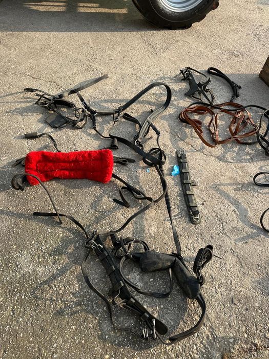 Șareta + Hamuri piele