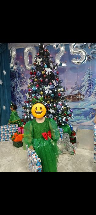 Жана жылдык койлек