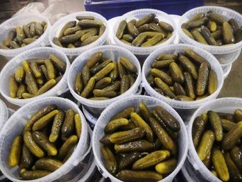 Солёные огурцы о 600тг