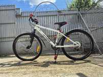Bicicleta rock rider 300