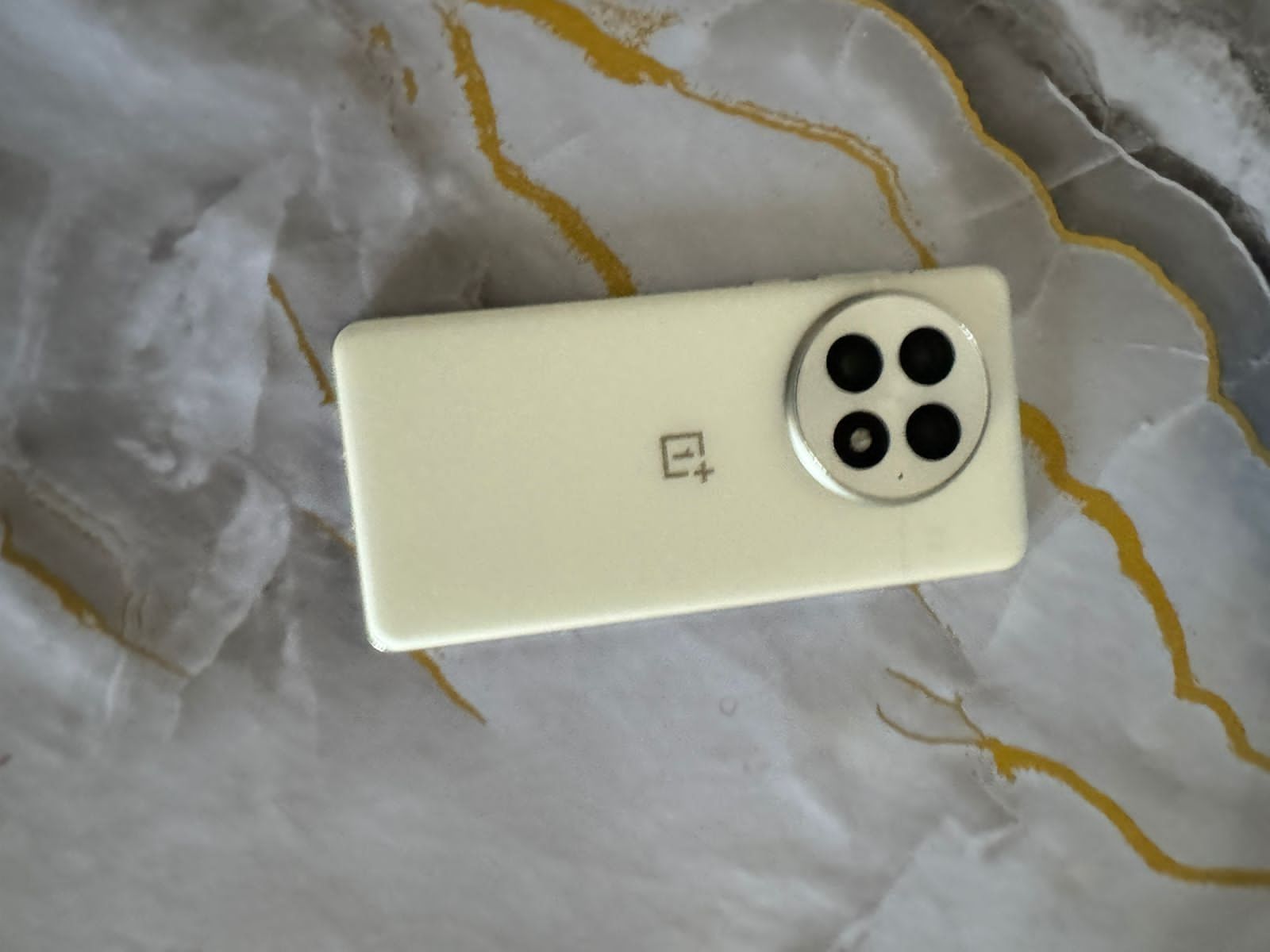 OnePlus 13 16/512