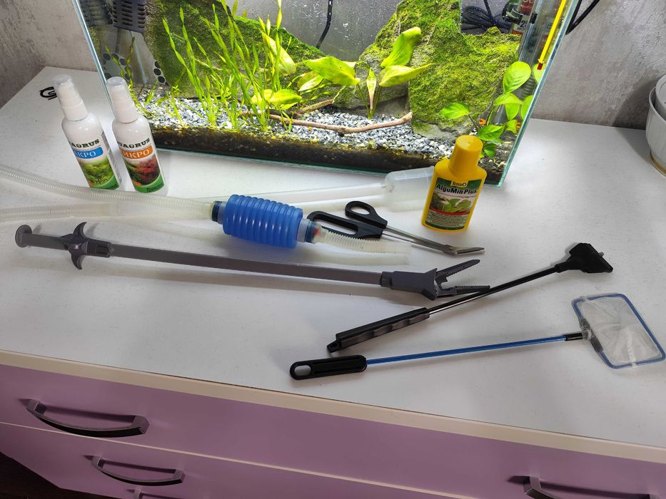 Аквариум 50×30×15 — полностью запущенный, со стабильной экосистемой