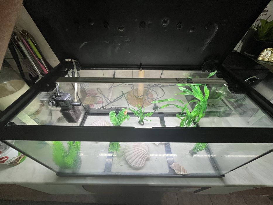 Acvariu 60 litri