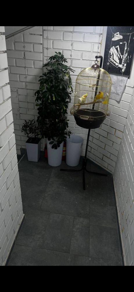Работа в маникюрном салоне, работа , салон