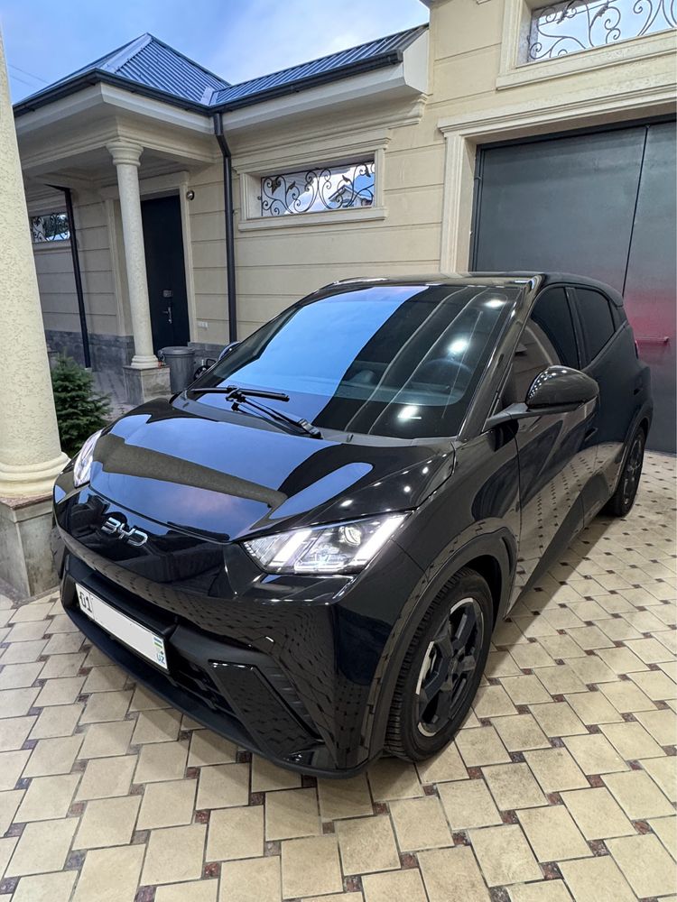BYD Seayull 405 Full 2023 yil