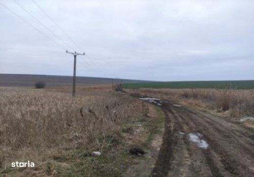 Teren extravilan cota parte 1/3, Rediu, ID: R2642185