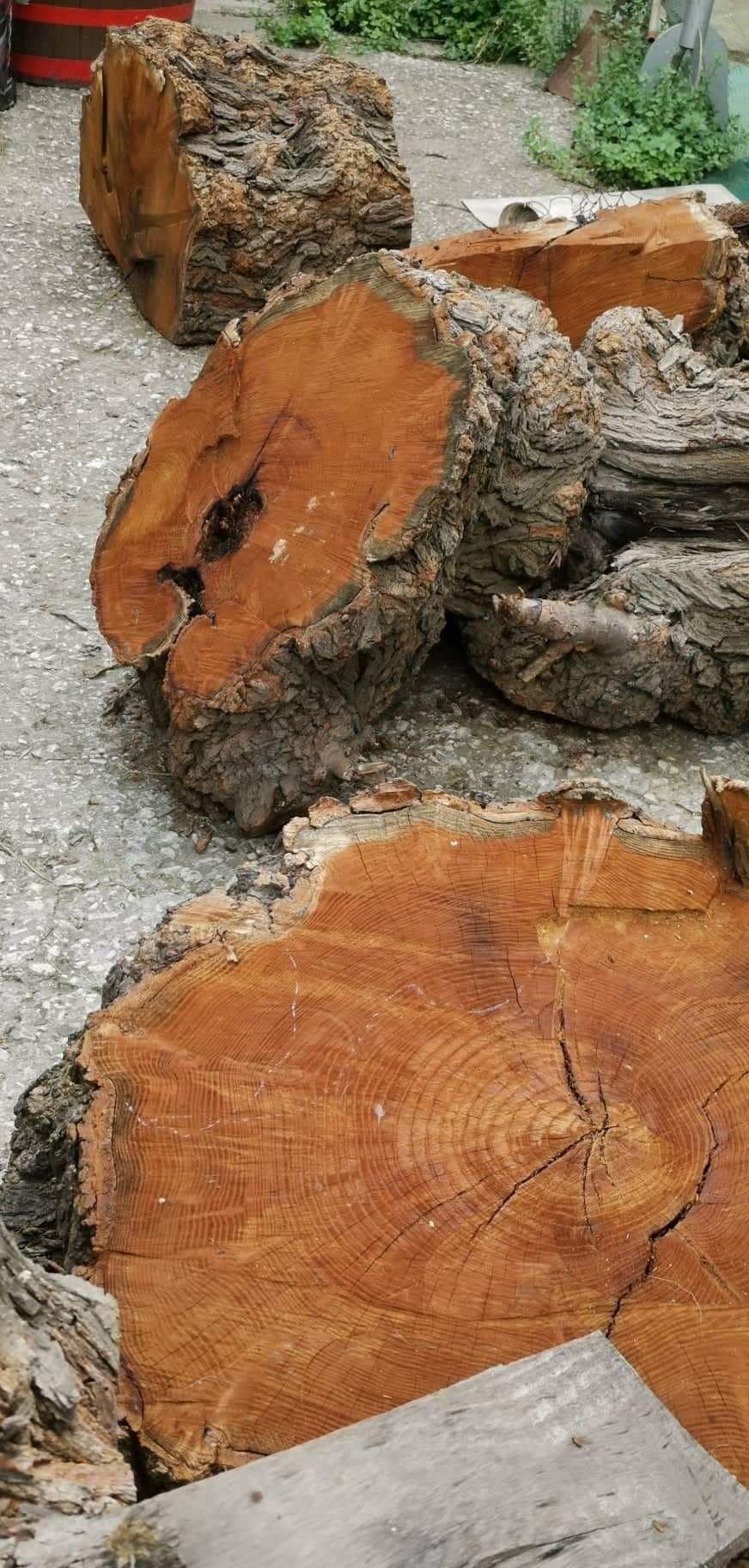 Черница за дървен материал