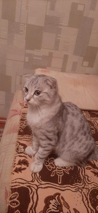 Мальчик 6 месяцев