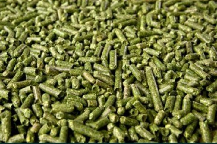 Vand peleti de lucerna