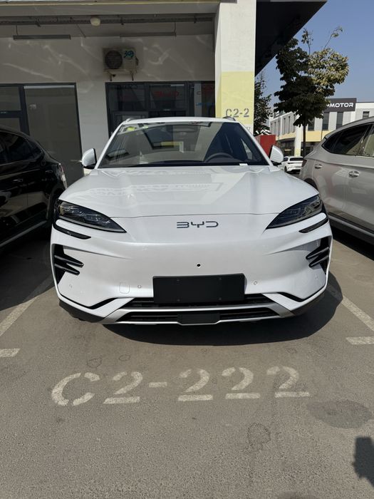 BYD CHAMION 2025-26 Smart 605 km qora narda grey oq