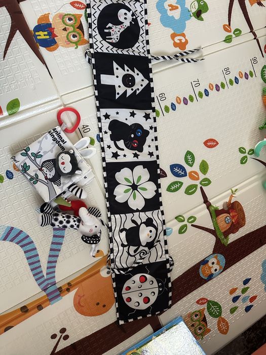 Лот черно бели играчки с подарък рак