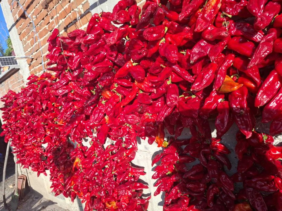 Сушени червени чушки – естествено изсушени