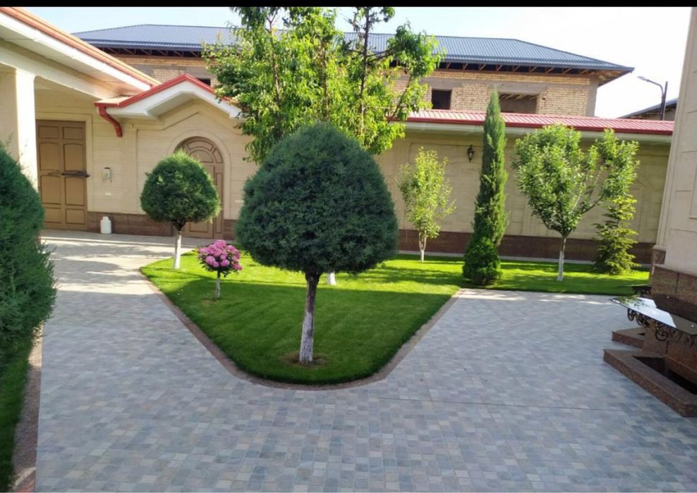 Газон автополив