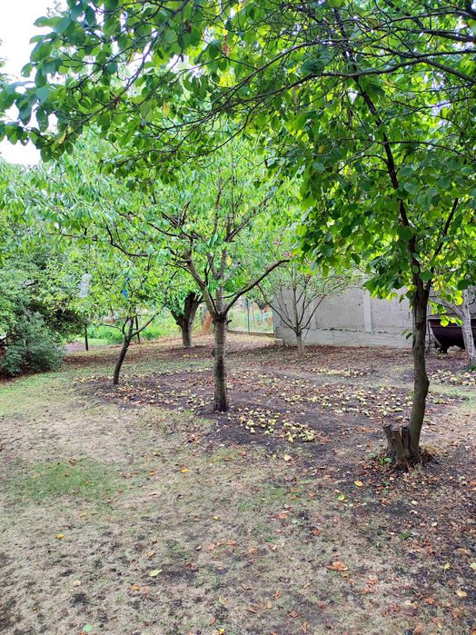 Продава се Къща в с. Алдомировци, Област София-област - 40 кв.м за 1875 €/кв.м - Снимка #16