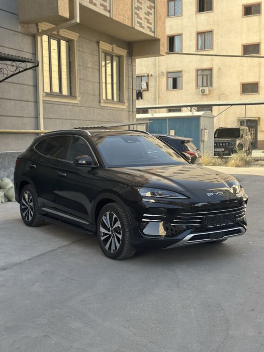 Byd chempion gibrid 2025