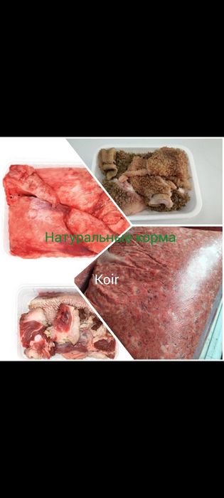 Натуральные корма для домашних животных