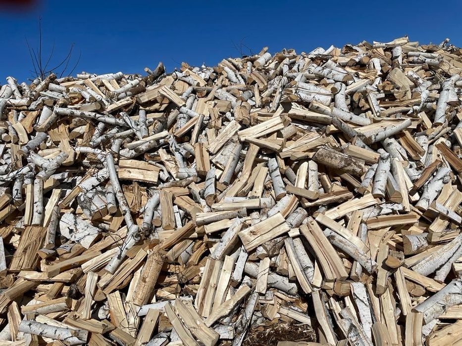 Отын жазылған құрғақ ақ қайың